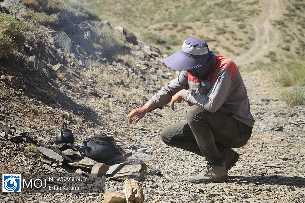 گازرسانی به کردستان از قاب دوربین